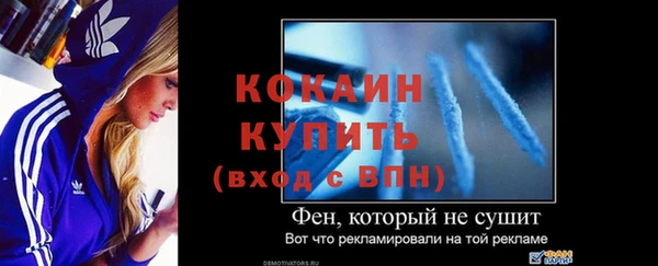индика Бронницы