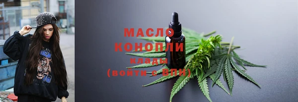 стаф Богородск
