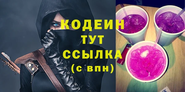 индика Бронницы