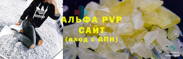 индика Бронницы