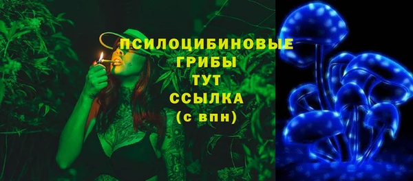 крисы Бугульма